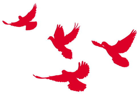 1561681162603642.png 微信圖片_20190628081910.png